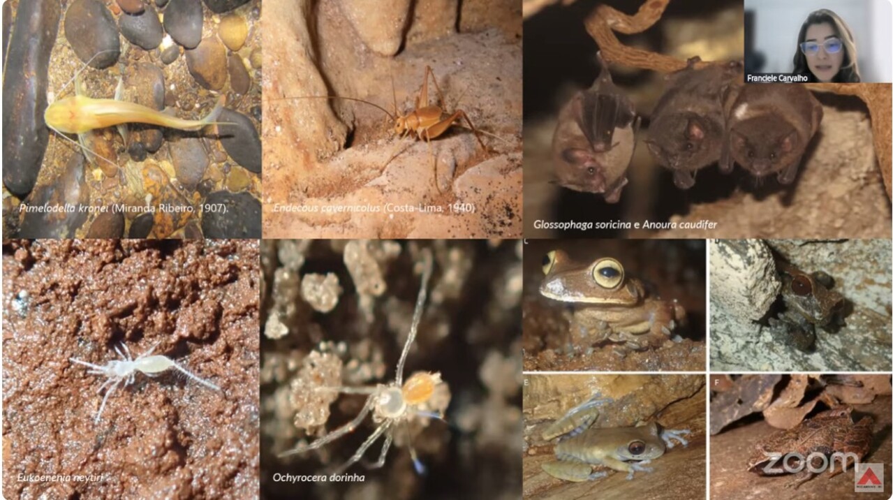 Minas Gerais possui cavernas distribuídas por todas as regiões, refletindo uma ampla diversidade geológica e ecológica