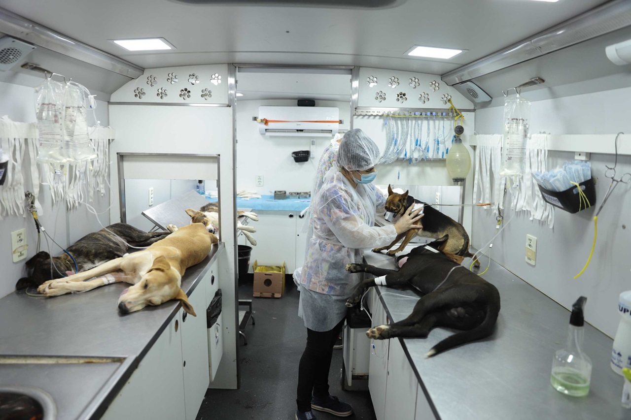 O Programa identifica e conecta os pets a um banco de dados que permite localizar tutores, reduzir abandonos e apoiar políticas públicas de bem-estar animal.