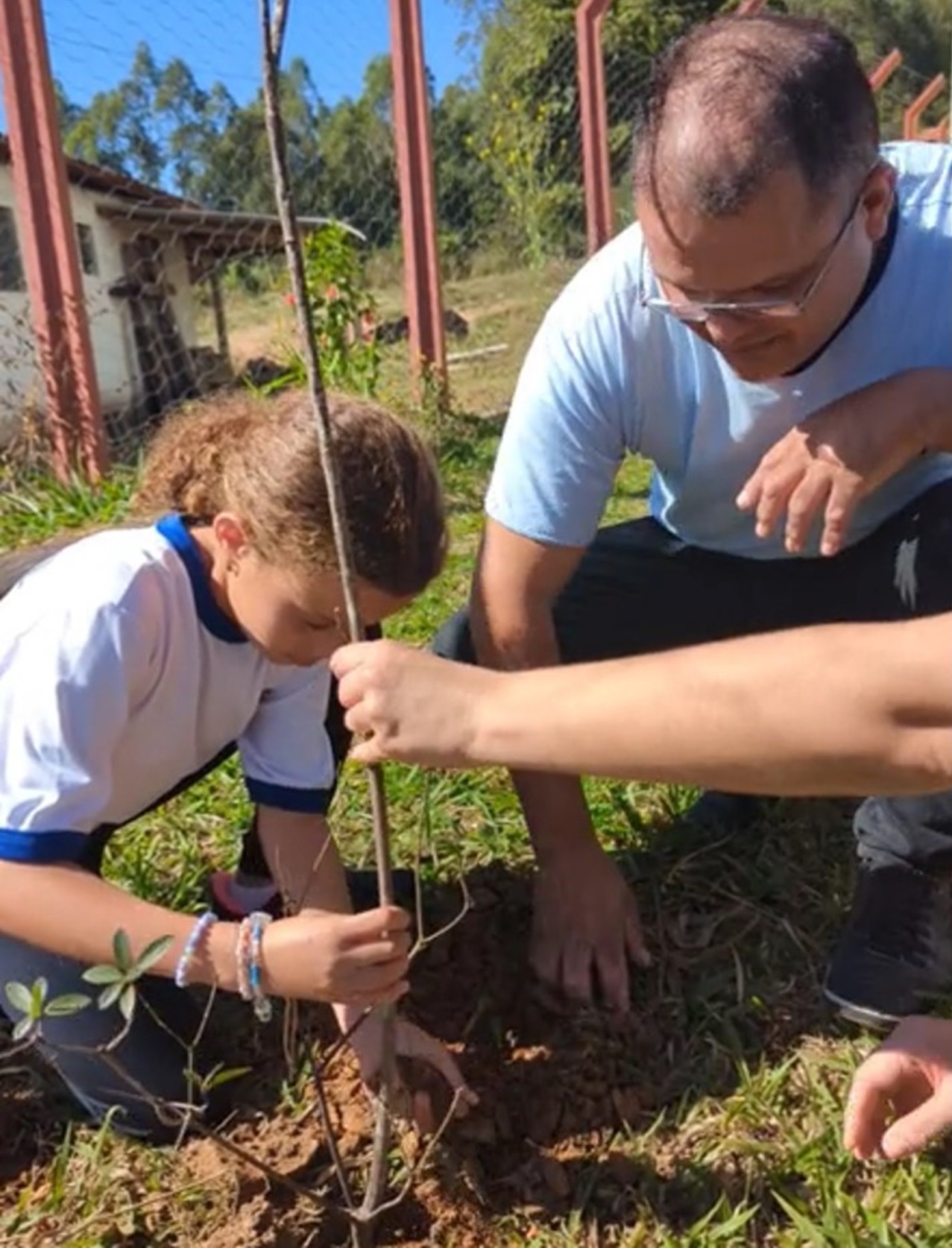 Os projetos abrangem temas como água, ar, solo, flora, fauna, clima, licenciamento e fiscalização ambiental