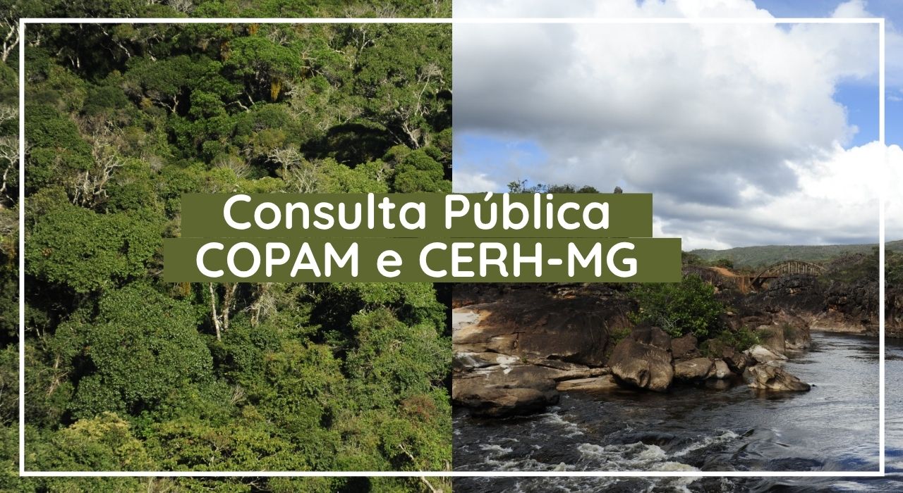 Consulta promoverá melhorias e modernizará a estrutura e o funcionamento dos conselhos