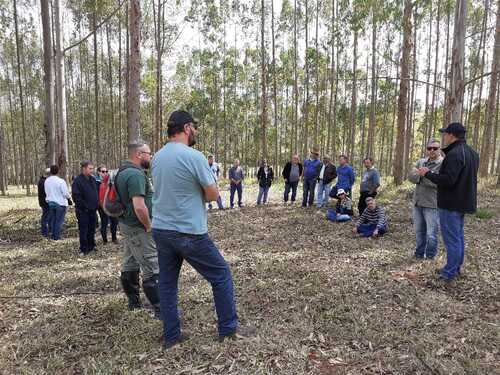 Formação será especializada e voltada para temas indicados pelos próprios servidores ou identificados pela fundação como prioritários