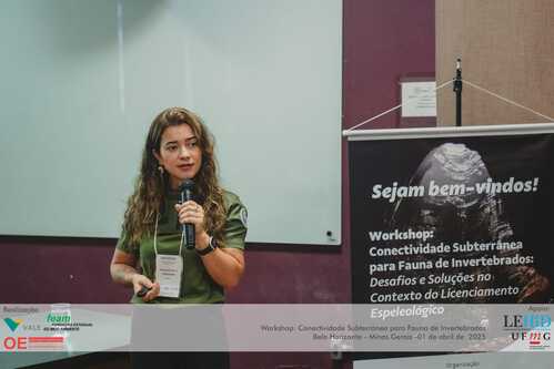A analista ambiental da Gerência de Suporte Técnico da Feam, Franciele Gonçalves, realizou palestra com o tema “Avaliação das propostas de áreas de  influência espeleológicas: exemplos e desafios