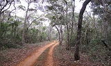 Acauã3c