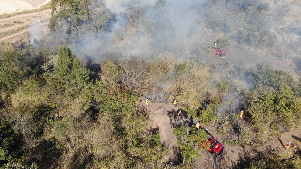 APA_Parque_Fernão_Dias_recebe_queima_controlada_para_prevenir_incêndios_florestais_1