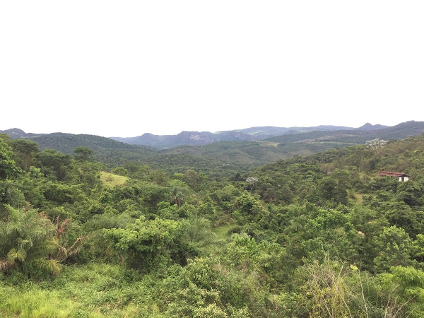 Foto_1_-_Mata_vista_da_torre_de_observação_Cortada