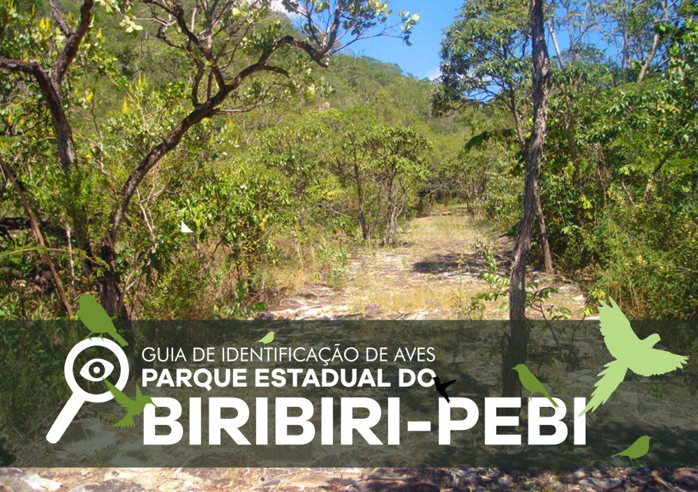 Foto_Guia_Parques-1