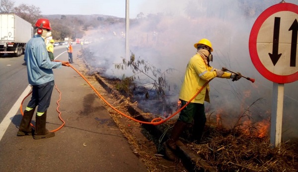 IEF_e_DER_realizam_reunião_de_alinhamento_para_período_de_incendios_florestais