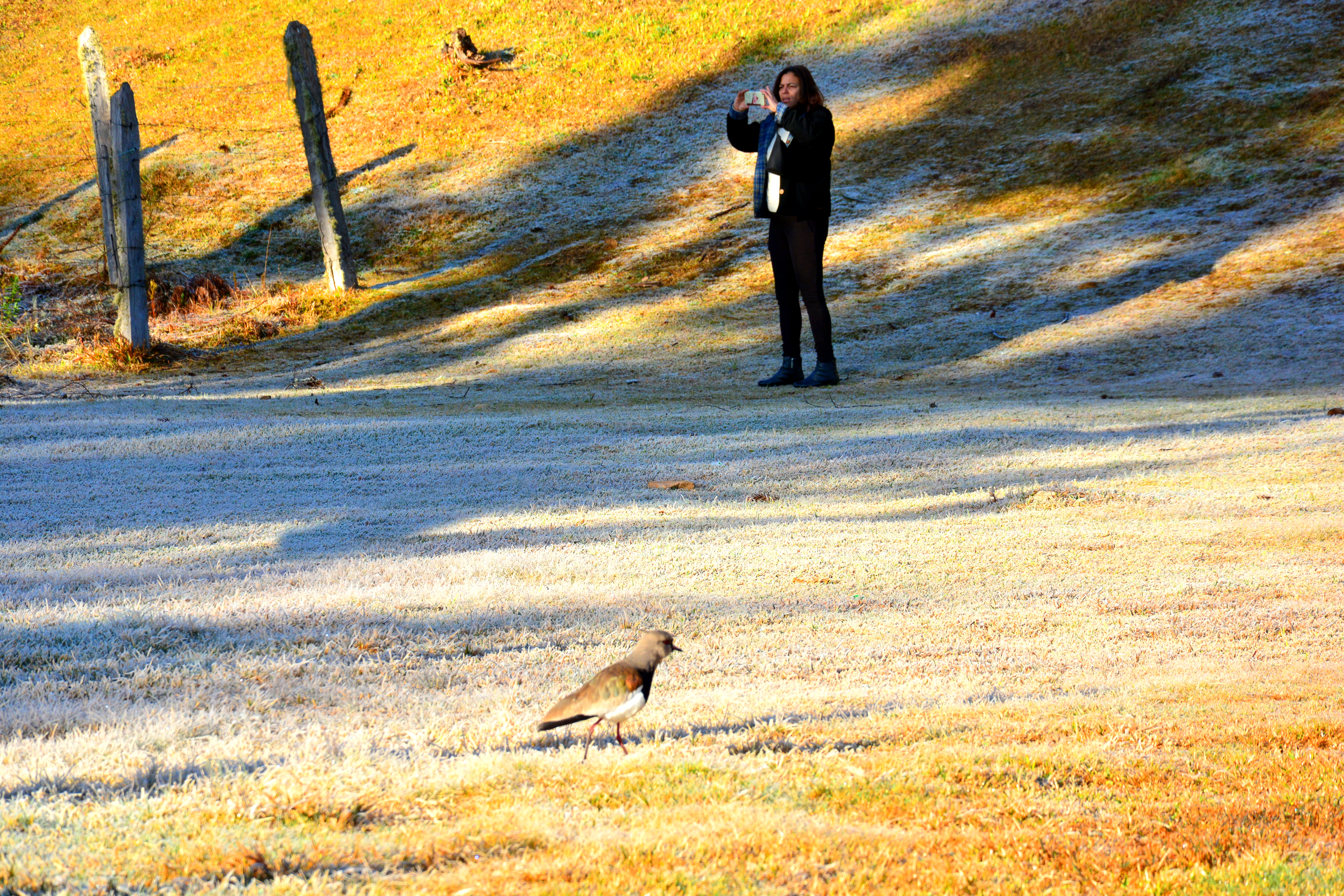 MONTE_VERDE_-_GEADAS_29_-_Foto_Ricardo_Cozo_apenas_Setur_ObservaçãoPássaros1