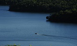 Parque_Estadual_do_Rio_Doce_-Lagoa_Dom_Helvécio_18_Foto_Evandro_Rodney