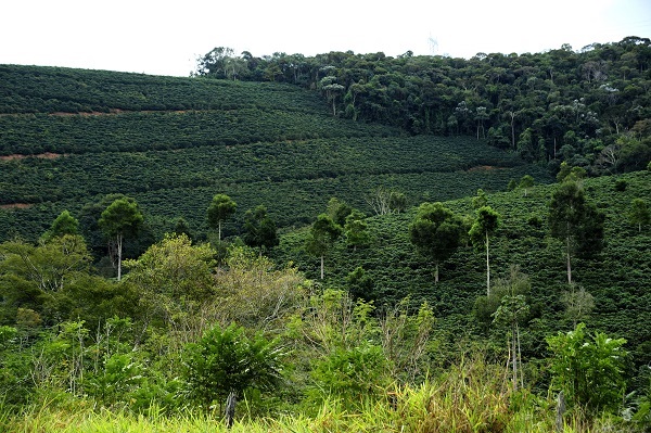 A APA Cachoeira das Andorinhas foi escolhida como área piloto para o projeto de promoção da regularização ambiental