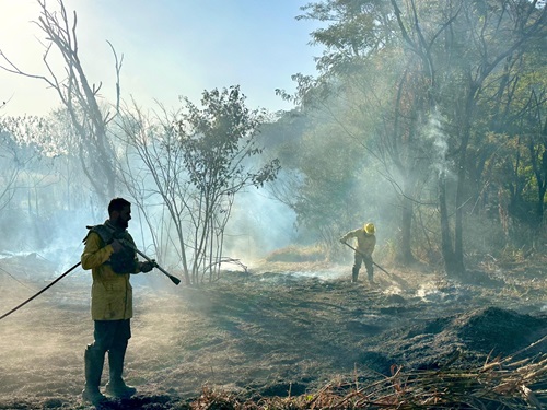 Ações da Força-tarefa Previncêndio 2025, reforçando o compromisso do Estado com a preservação ambiental e a segurança da população mineira.