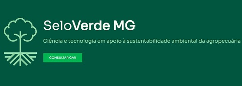 As novas versões já podem ser acessadas