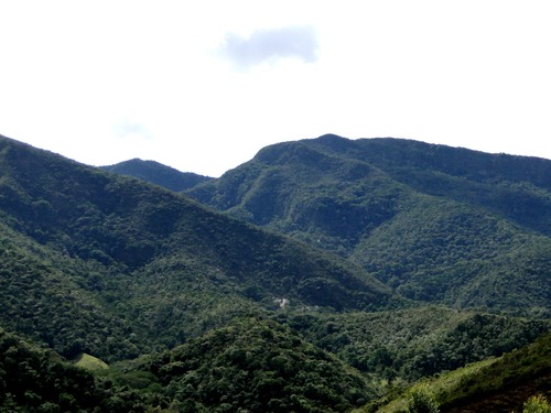 Paisagem da Serra Negra da Mantiqueira reúne uma combinação única de altitudes elevadas, campos rupestres e florestas densas