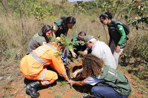 Entre os anúncios feitos na solenidade, está a entrega de kits do programa Minas Contra o Fogo a 32 municípios mineiros