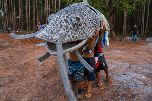 Surubim-do-Jequitinhonha é uma espécie rara, considerada criticamente ameaçada de extinção
