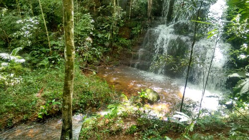 RPPNs, como a Alto da Boa Vista II (na foto), são unidades de conservação criadas em áreas privadas, com caráter perpétuo, destinadas à proteção da biodiversidade