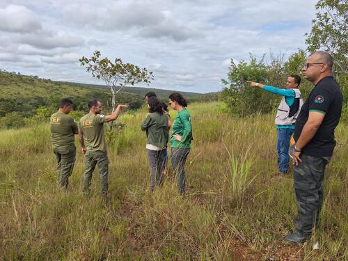 Área, que se encontra degradada, exigirá um manejo direto para sua recuperação