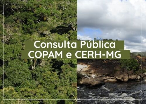 Consulta promoverá melhorias e modernizará a estrutura e o funcionamento dos conselhos