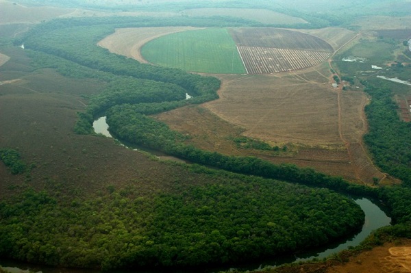 irrigação_as_margens_do_rio_são_marcos_em_paracatu_rubens_pontoni_ama_interna