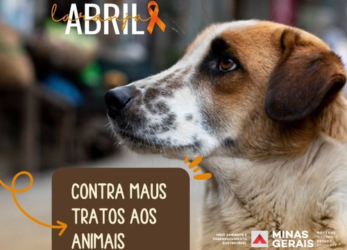 Maus-tratos contra animais incluem qualquer ato ou omissão que cause sofrimento, dor, medo, privação de necessidades básicas, lesões ou até mesmo a morte do animal