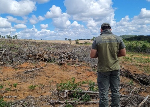 Durante a capacitação, os participantes aprofundam conhecimentos em temas como planejamento de ações, lavratura de autos de fiscalização e infração e uso de sistemas institucionais
