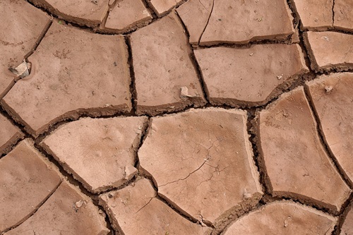 Semad apoia os municípios no fortalecimento da capacidade local para lidar com os impactos das mudanças climáticas