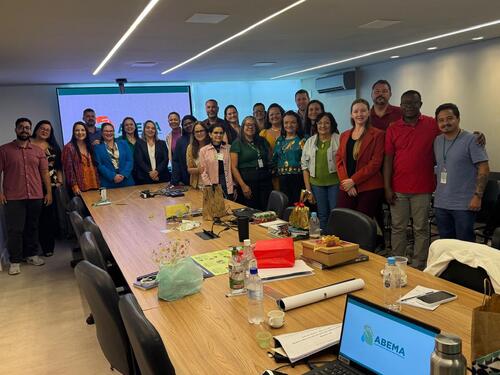 Reunião aconteceu nos dias 4 e 5 de dezembro, em Brasília, e teve representantes de secretarias estaduais de meio ambiente de todo o Brasil