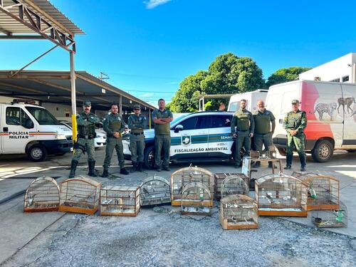 Operação Libertas I foi realizada no município de Janaúba, na região Norte de Minas Gerais e teve como foco o combate ao tráfico e ao cativeiro ilegal de animais silvestres