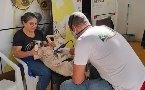 A previsão é que o projeto realize cerca de 35 mil castrações em 52 municípios, formando um cinturão de proteção e prevenção