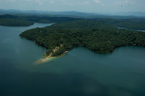 Minas Gerais ultrapassou 70% da meta de plantio firmada no Tratado da Mata Atlântica, pactuado em 2023 pelos estados do Cosud
