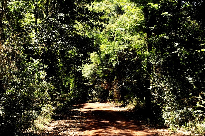 O monitoramento contínuo permite identificar áreas sob maior pressão e orientar políticas públicas mais eficazes para a conservação ambiental.