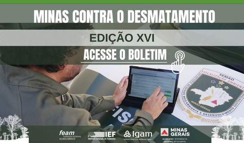 De 10.030 hectares desmatados entre 2022 e 2023, o estado passou para 7.451 hectares no período seguinte