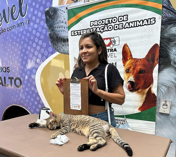 O Programa Estadual de Esterilização de Animais Domésticos é uma ação essencial para o manejo ético da fauna doméstica, com impactos positivos na saúde pública e na convivência harmoniosa entre seres humanos e animais