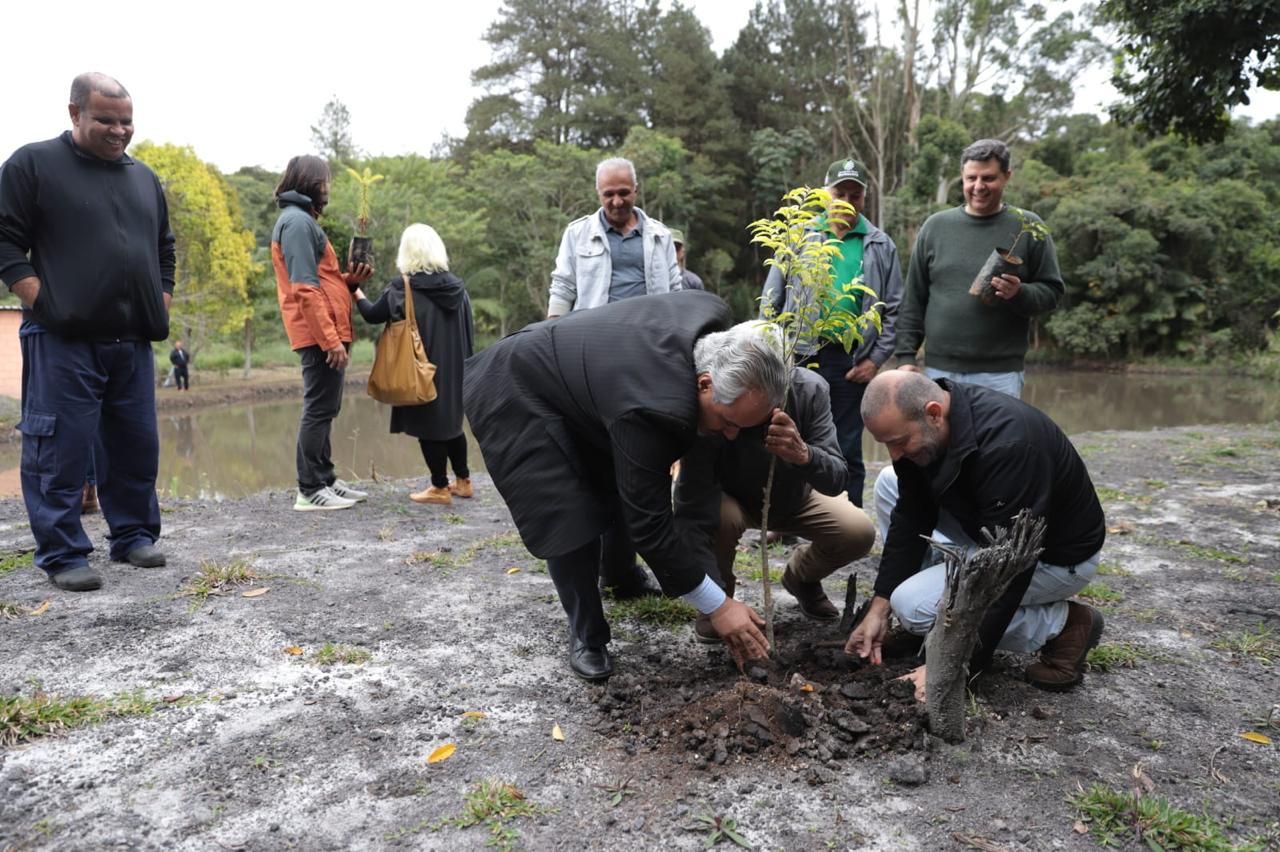 Minas Gerais celebra o Dia da Mata Atlântica com entrega de viveiros florestais revitalizados