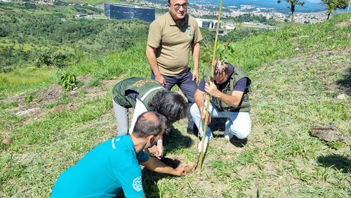 Plantio fortalece a meta do Governo de Minas no âmbito do Tratado da Mata Atlântica, que visa a introdução de 7 milhões de mudas no território estadual até 2026